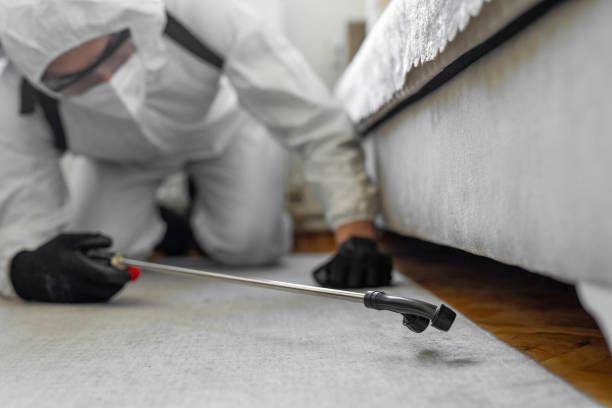 Professional Termite Control technician working in Dallas, GA