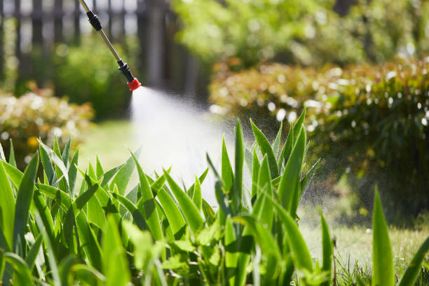 24/7 Emergency Termite Control experts in Dallas, GA